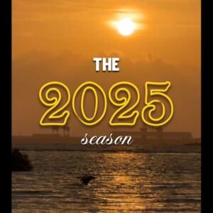 2025 Recap (Fall In Love Again)