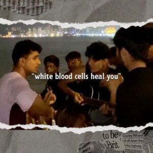 My White Blood Cells : My Friends!